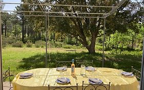 Villa Provencale Dans Le Golfe De Saint Tropez